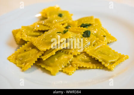 Handgefertigte Agnolotti, Art der Ravioli, typisch Italienische ei Pasta aus dem Piemont Stockfoto