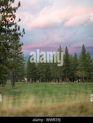 Sonnenuntergang von Wald und Golfplatz in Truckee, Kalifornien von Lake Tahoe Stockfoto