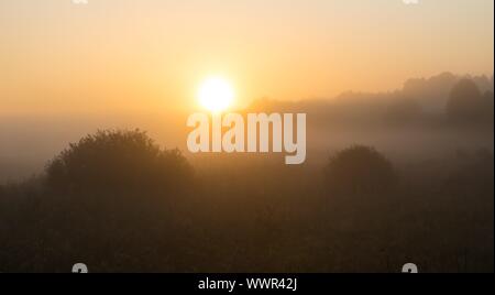 Schönen Sonnenaufgang über dem Nebel Meaodw. Ruhigen Landschaft fotografiert auf typische polnische Landschaft. Rasen und Pflanzen mit dewdro Stockfoto