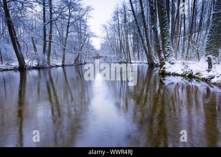 Winterwald mit schönen Fluss. Bäume im Wasser des Flusses. Herrliche Winterlandschaft Stockfoto