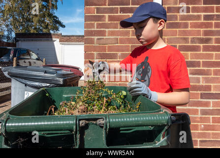 Ein Junge nutzt ein Paar von baumscheren, Gartenabfälle in eine kleinere Größe zu schneiden, so dass er in eine grüne Mülltonne passt. Stockfoto