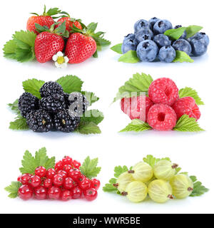 Sammlung Beeren Erdbeeren Heidelbeeren Himbeeren Johannisbeeren Früchte Stockfoto