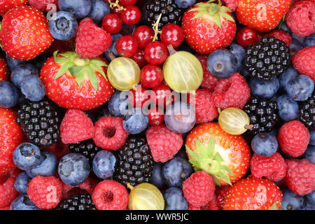 Beeren Früchte Erdbeeren Himbeeren Heidelbeeren Hintergrund von oben Stockfoto