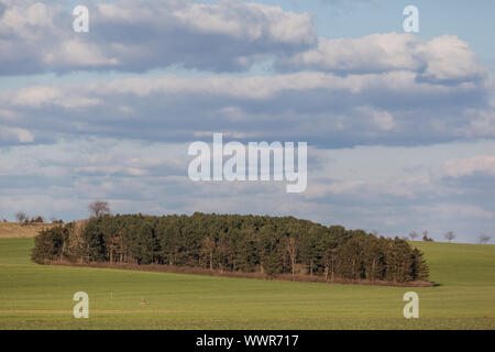 Landschaft mit Wald, Feld Stockfoto