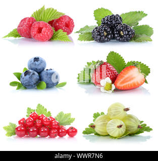 Sammlung Beeren Erdbeeren Heidelbeeren Himbeeren Johannisbeeren Früchte Stockfoto