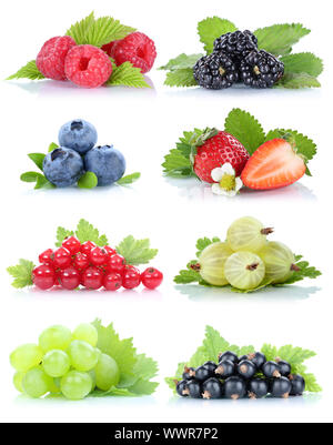 Sammlung Beeren Früchte Trauben Trauben Erdbeeren Heidelbeeren Himbeeren Johannisbeeren Stockfoto