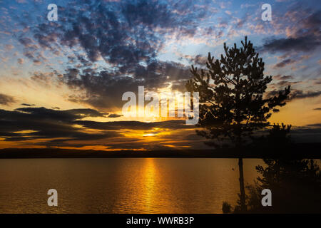 Sonnenuntergang am See mit pine Silhouette in den Vordergrund Stockfoto