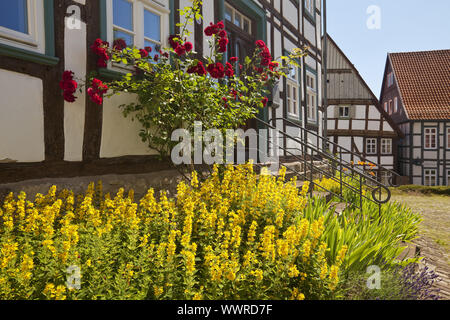 Fachwerkhaus - Häuser in der Altstadt, Warburg, Ostwestfalen, NRW, Deutschland Stockfoto