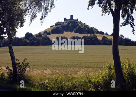 Burg Desenberg auf dem Desenberg Warburg, Ostwestfalen, NRW, Deutschland ruinieren Stockfoto