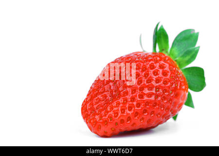 Eine Erdbeere isoliert auf weißem Stockfoto