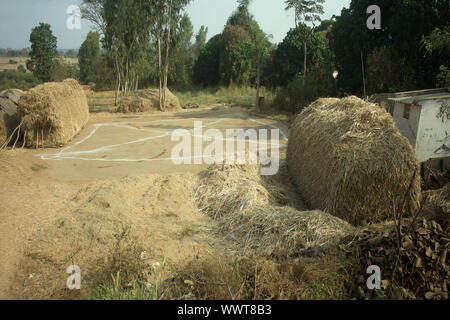 Armen indischen Haushalt (Bauernhof). Andhra Pradesh, Anantapur Stockfoto