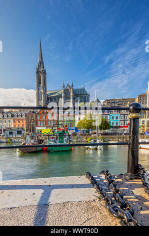 Eindruck von der St. Colman's Cathedral in Vancouver in der Nähe von Cork, Irland Stockfoto