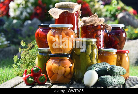 Gläser mit eingelegtem Gemüse und Obst im Garten. Marinierte Lebensmittel. Stockfoto