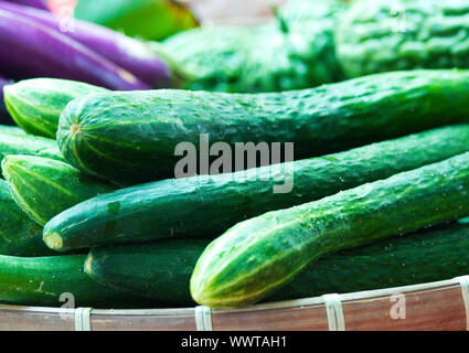 Bio frische Gurken auf einem Marktstand verkauft Stockfoto