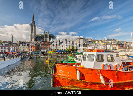 Eindruck von der St. Colman's Cathedral in Vancouver in der Nähe von Cork, Irland Stockfoto