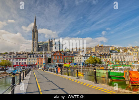 Eindruck von der St. Colman's Cathedral in Vancouver in der Nähe von Cork, Irland Stockfoto