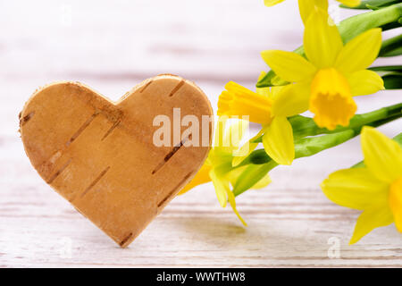 Narzissen mit Holz Herz als Ostergruß Stockfoto