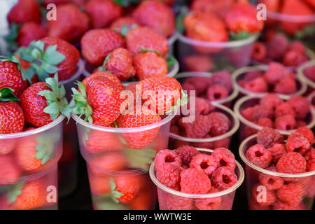 Himbeeren und Erdbeeren in Behältnissen zum Verkauf. Stockfoto