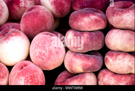 Leckere Früchte - reife Pfirsiche. Stockfoto