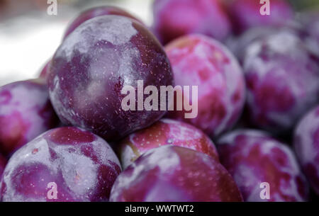 Frucht: große Frucht mit Pflaumen. Stockfoto