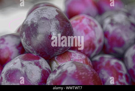 Frucht: große Frucht mit Pflaumen. Stockfoto