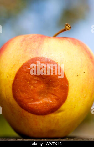 fauler Apfel Stockfoto