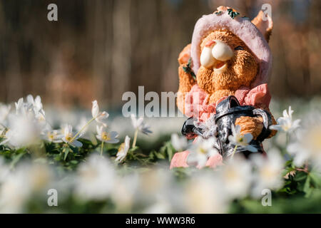 Ostern Motiv mit Osterhase Stockfoto