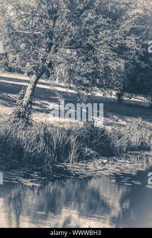 Alte vintage Foto. See Fluss spiegelt wolken himmel Park Wald Platz kopieren Stockfoto