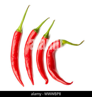 Vier rote Chilischoten auf weißem Hintergrund Stockfoto