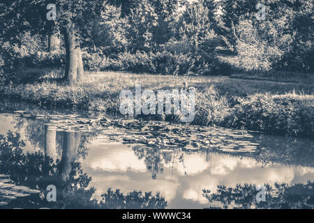 Alte vintage Foto. See Fluss spiegelt wolken himmel Park Wald Platz kopieren Stockfoto