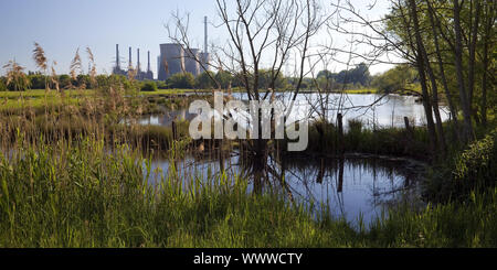 Naturschutzgebiet Tiebaum und Gersteinwerk power station, Hamm, Ruhrgebiet, Deutschland, Europa Stockfoto