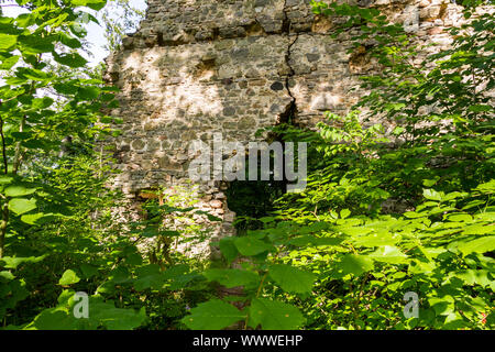 Stecklenburg brurgruine Harz Stockfoto