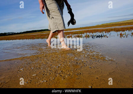 Person zu Fuß am Strand von holkham, North Norfolk, England Stockfoto