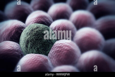 Mikroskopische Aufnahme von Zellen, 3D-Rendering, Abteilung der Krebszelle Stockfoto