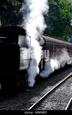 Dampflok und Waggons, holt Bahnhof, North Norfolk, England Stockfoto