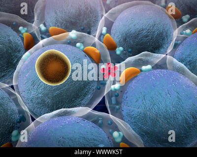 Bereich der Fettzellen, hochwertige 3D-Render von Fettzellen, Cholesterin in den Zellen, Zellen, Zellteilung, Mikroskopische Aufnahme von Zellen, Zellen, Med. Stockfoto