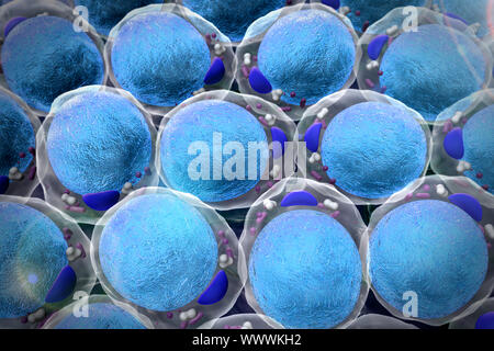 Bereich der Fettzellen, hochwertige 3D-Render von Fettzellen, Cholesterin in den Zellen, Zellen, Zellteilung, Mikroskopische Aufnahme von Zellen, Zellen, Med. Stockfoto