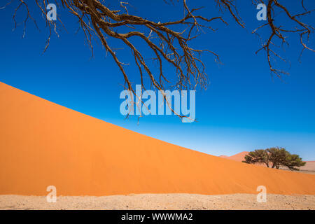 Toten Camelthorn Bäumen und roten Dünen im Sossusvlei, Namib-Naukluft-Nationalpark, Namibia Stockfoto