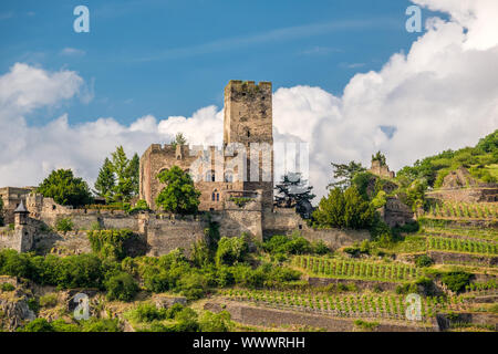 Gutenfels Burg und Weinberge am Rhein bei Kaub, Deutschland. Stockfoto