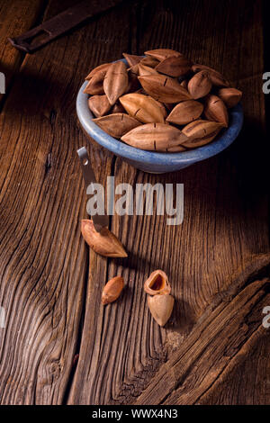 Canarium ovatum, allgemein bekannt als Pili ist eine Pflanzenart aus der Gattung der tropischen Baum Stockfoto