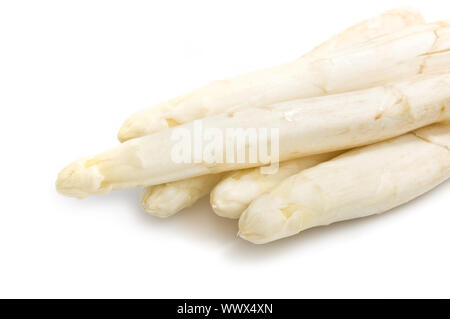 Schöne weiße jumbo Spargel aus der Nähe schießen über Weiß Stockfoto
