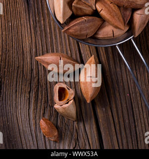 Canarium ovatum, allgemein bekannt als Pili ist eine Pflanzenart aus der Gattung der tropischen Baum Stockfoto