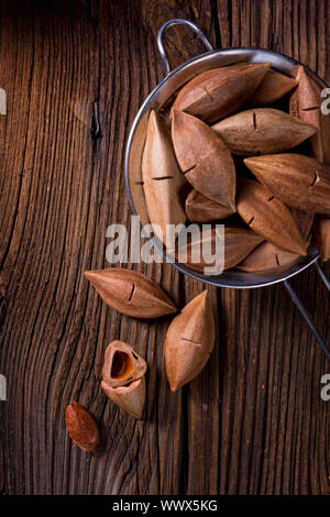Canarium ovatum, allgemein bekannt als Pili ist eine Pflanzenart aus der Gattung der tropischen Baum Stockfoto