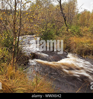 Herbstliche Creek, Hohes Venn, Monschau, Eifel, Nordrhein-Westfalen, Deutschland, Europa Stockfoto