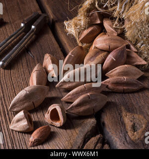 Canarium ovatum, allgemein bekannt als Pili ist eine Pflanzenart aus der Gattung der tropischen Baum Stockfoto