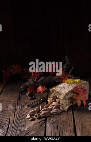 Canarium ovatum, allgemein bekannt als Pili ist eine Pflanzenart aus der Gattung der tropischen Baum Stockfoto