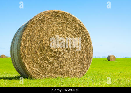 Große Heuballen roll in ein grünes Feld Stockfoto