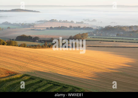 Schön früh am Morgen Nebel zieht über die South Downs National Park in der Nähe von Lewes Stockfoto