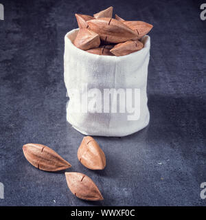 Canarium ovatum, allgemein bekannt als Pili ist eine Pflanzenart aus der Gattung der tropischen Baum Stockfoto
