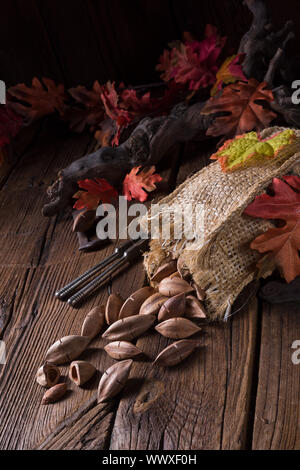 Canarium ovatum, allgemein bekannt als Pili ist eine Pflanzenart aus der Gattung der tropischen Baum Stockfoto